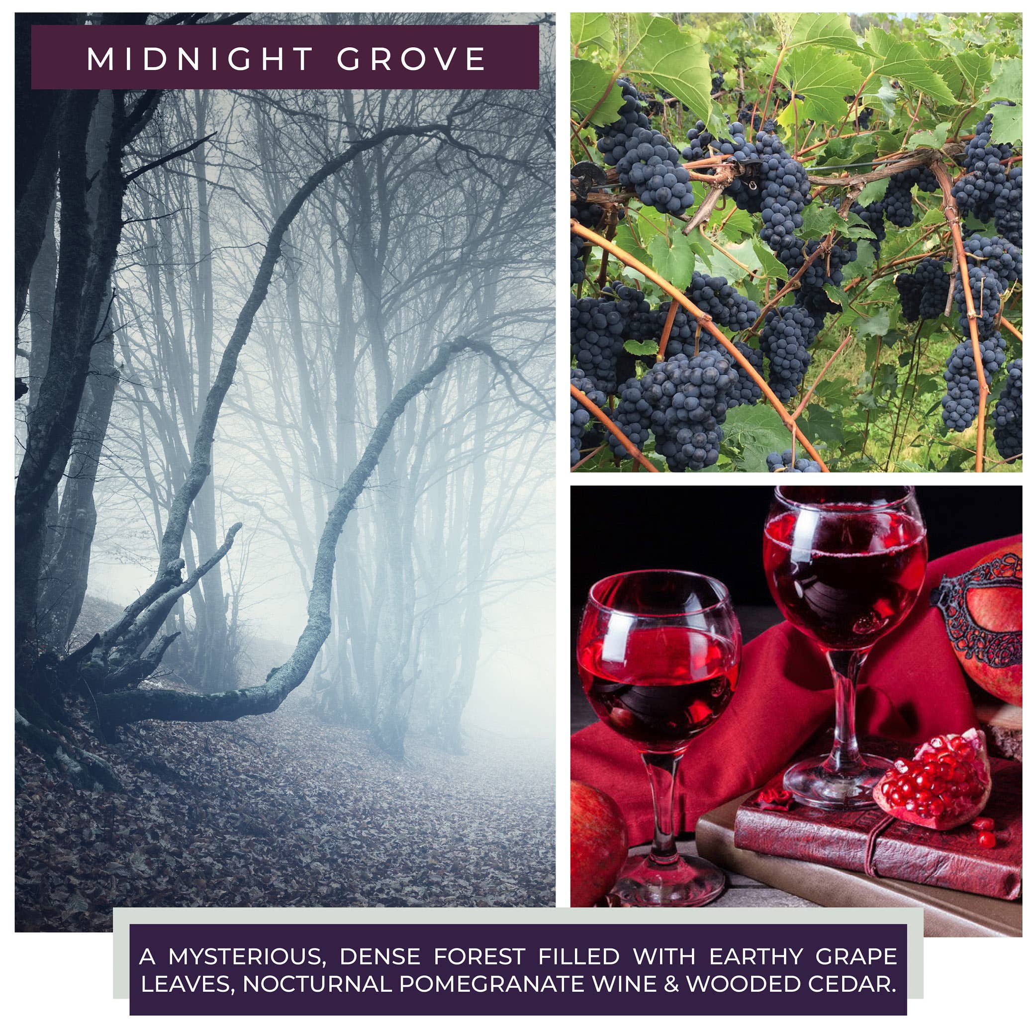 Midnight Grove – 6oz Strong Scented Jar Candle Gift