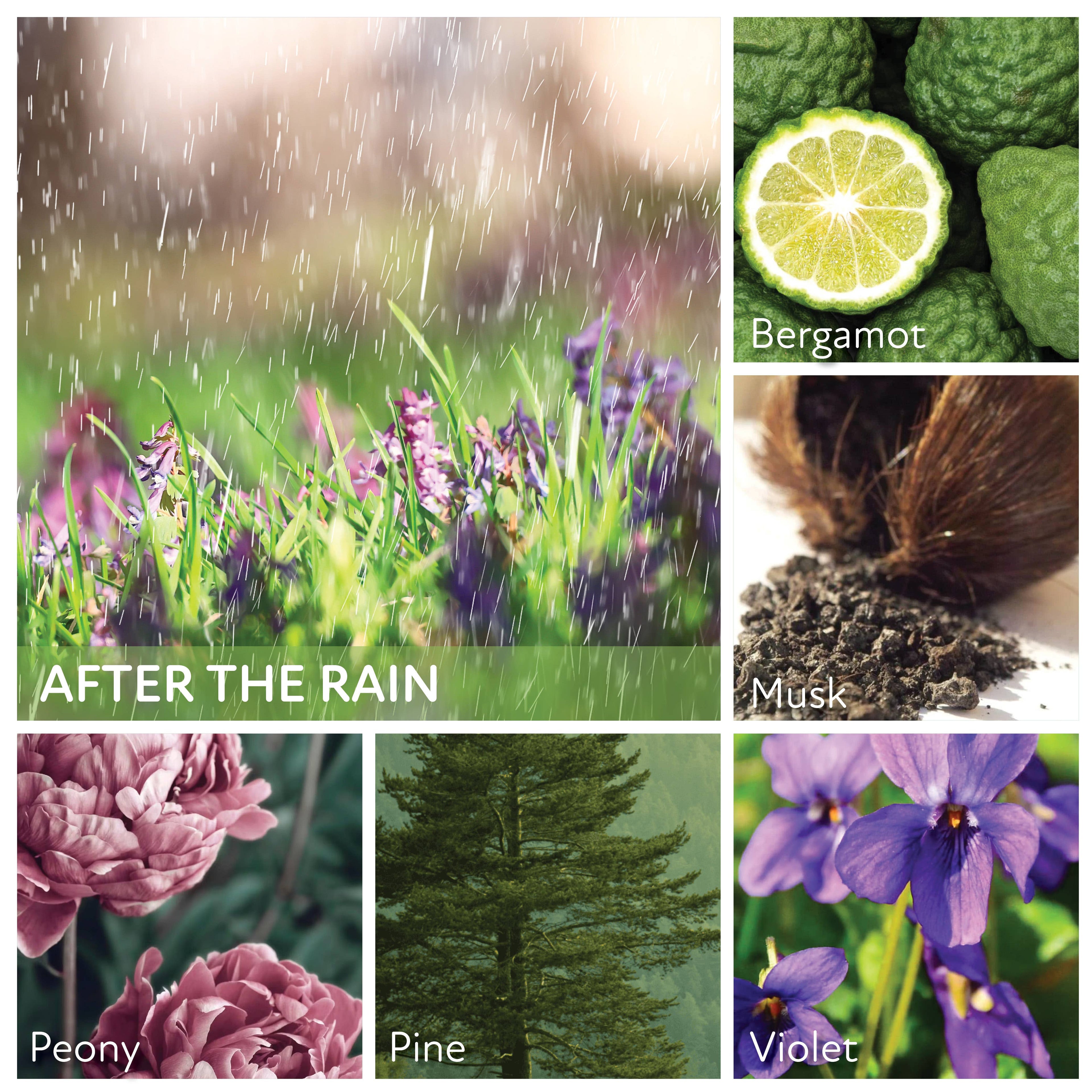 After The Rain – 6oz Scented Jar Candle Gift