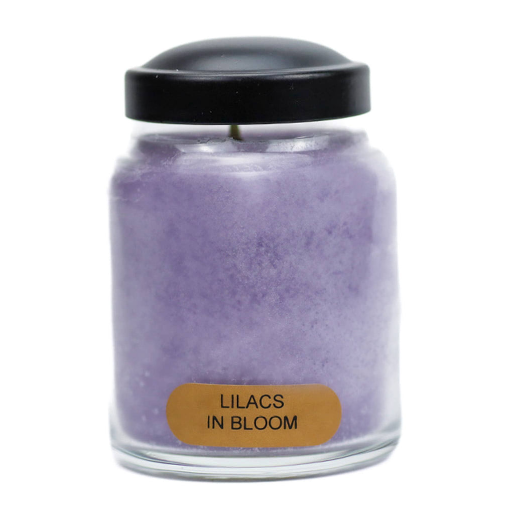 Lilacs In Bloom – 6oz Spring Scented Jar Candle Gift
