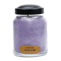 Lilacs In Bloom – 6oz Spring Scented Jar Candle Gift