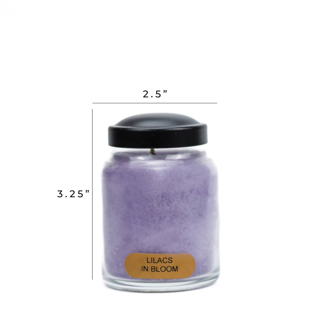 Lilacs In Bloom – 6oz Spring Scented Jar Candle Gift