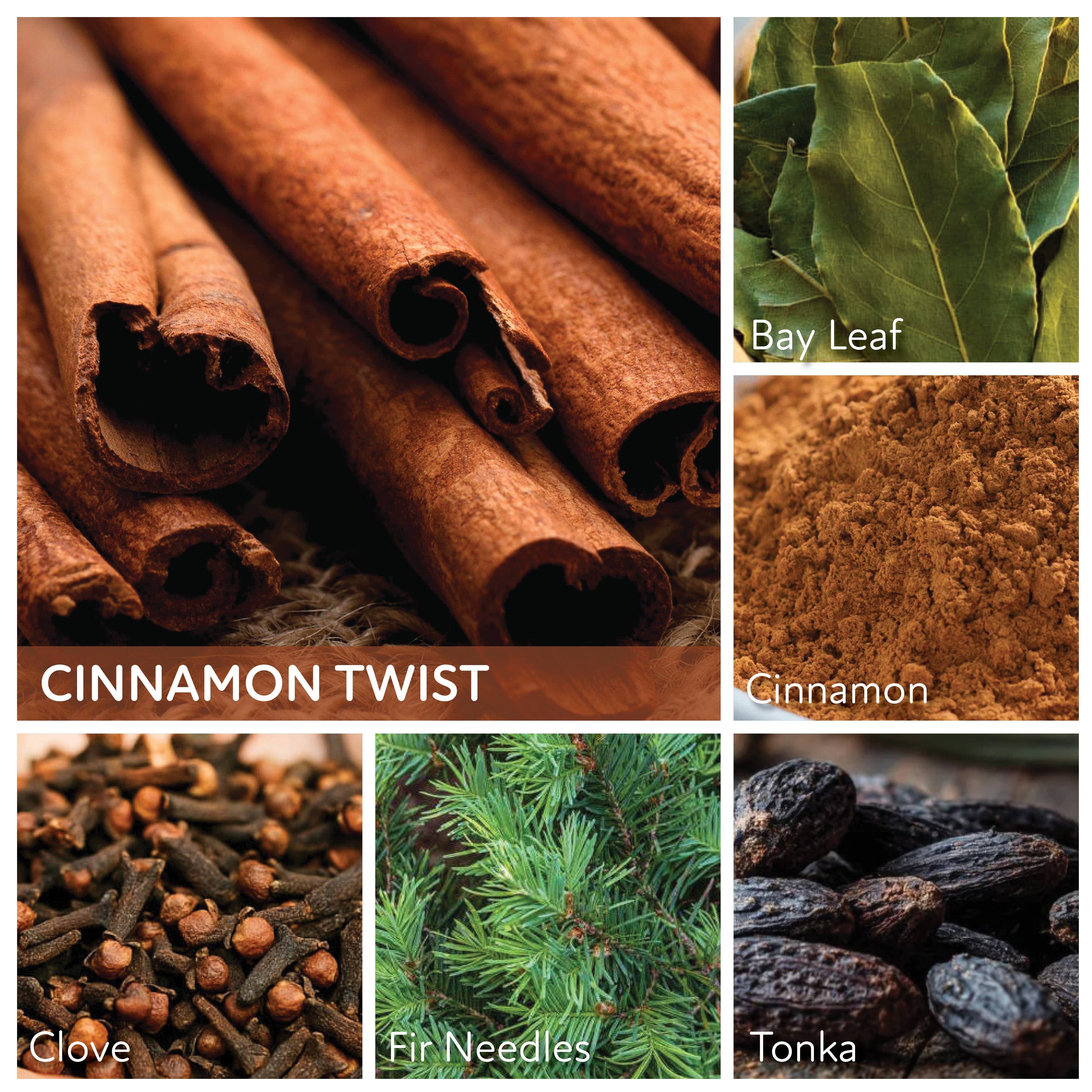 Cinnamon Twist – 6oz Spice Scented Jar Candle