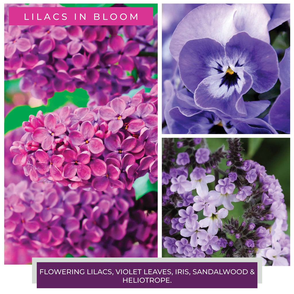 Lilacs In Bloom – 6oz Spring Scented Jar Candle Gift