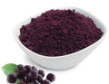 Elderberry Powder – 3 oz