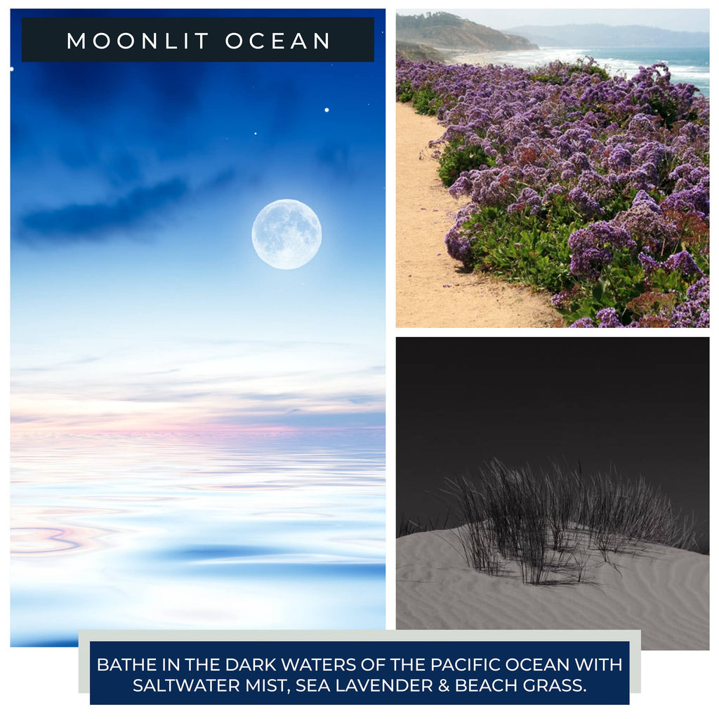 Moonlit Ocean – 6oz Scented Jar Candle Gift