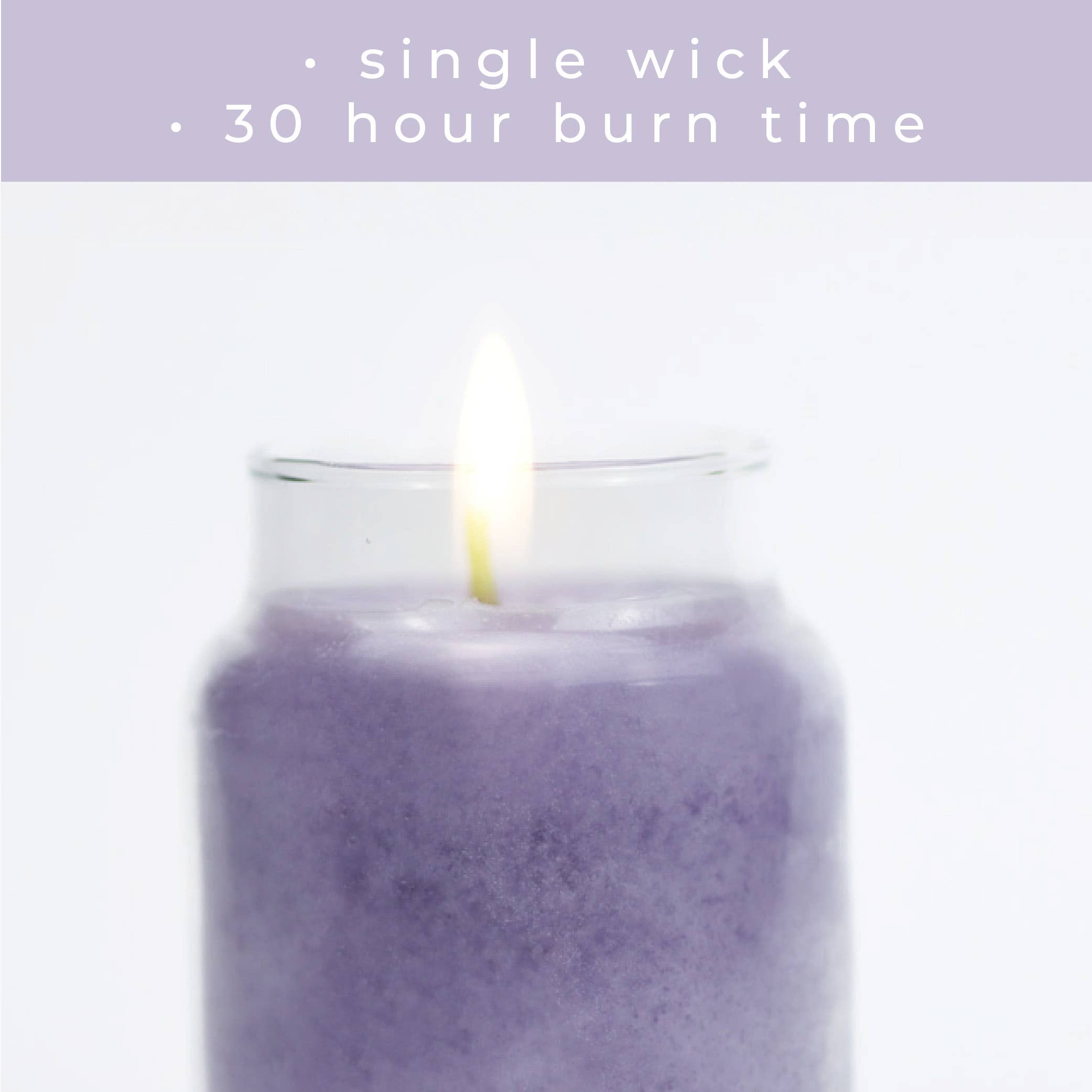 Lilacs In Bloom – 6oz Spring Scented Jar Candle Gift